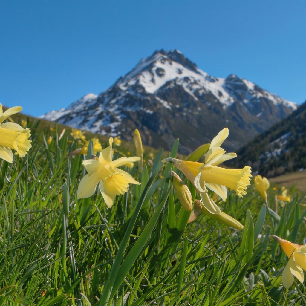 Andorra, tot l’any