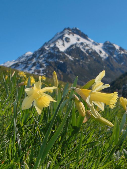 L’Andorre, toute l’année!