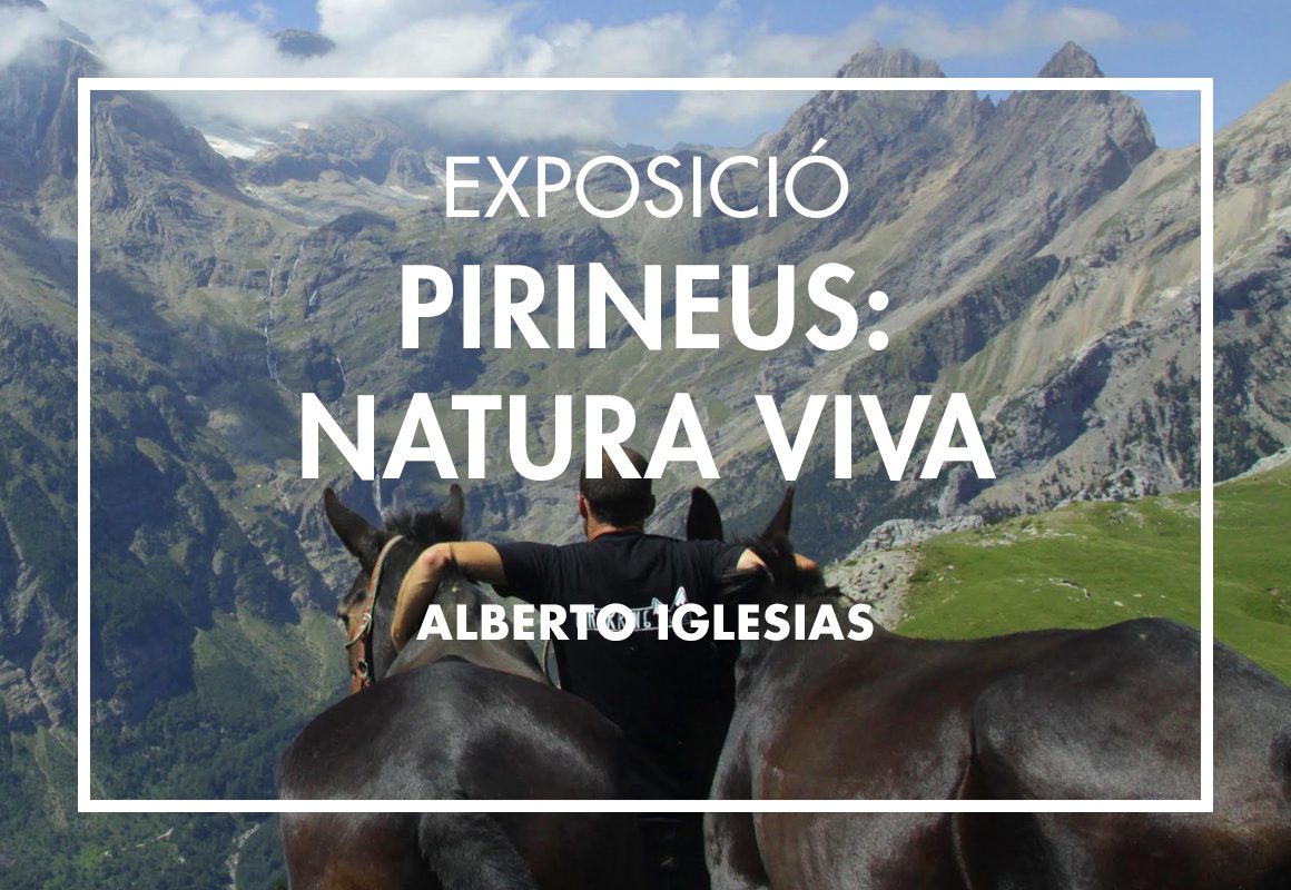 Exposició Pirineus: Natura Viva