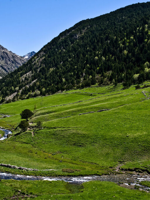 Descobreix el patrimoni natural d’Andorra: rutes de muntanya, senderisme i l’equipament imprescindible.