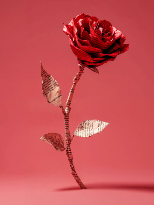 Sant Jordi a Andorra: llibres i roses a illa Carlemany!