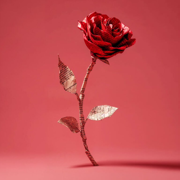 Sant Jordi a Andorra: llibres i roses a illa Carlemany!