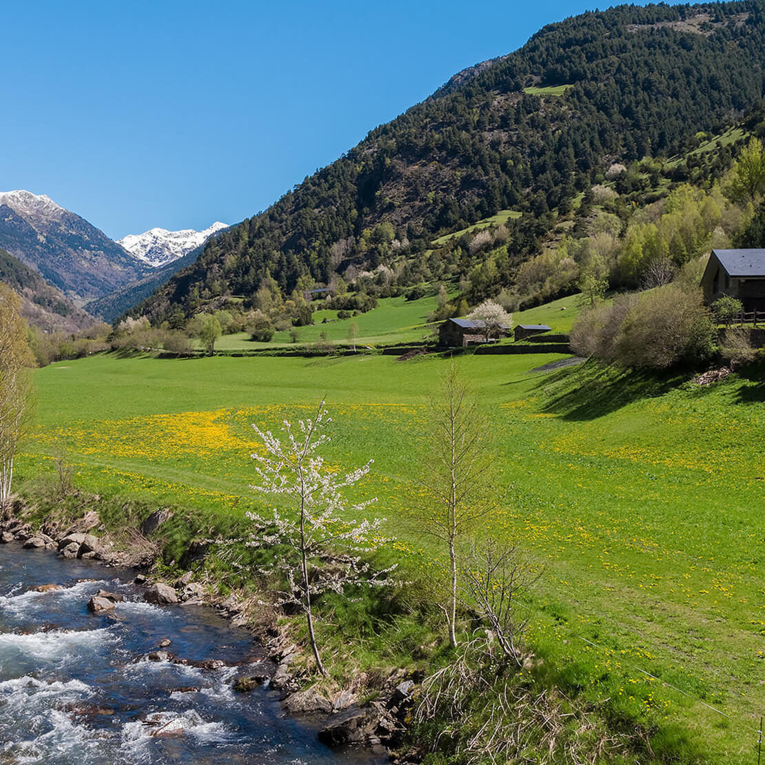PRIMAVERA